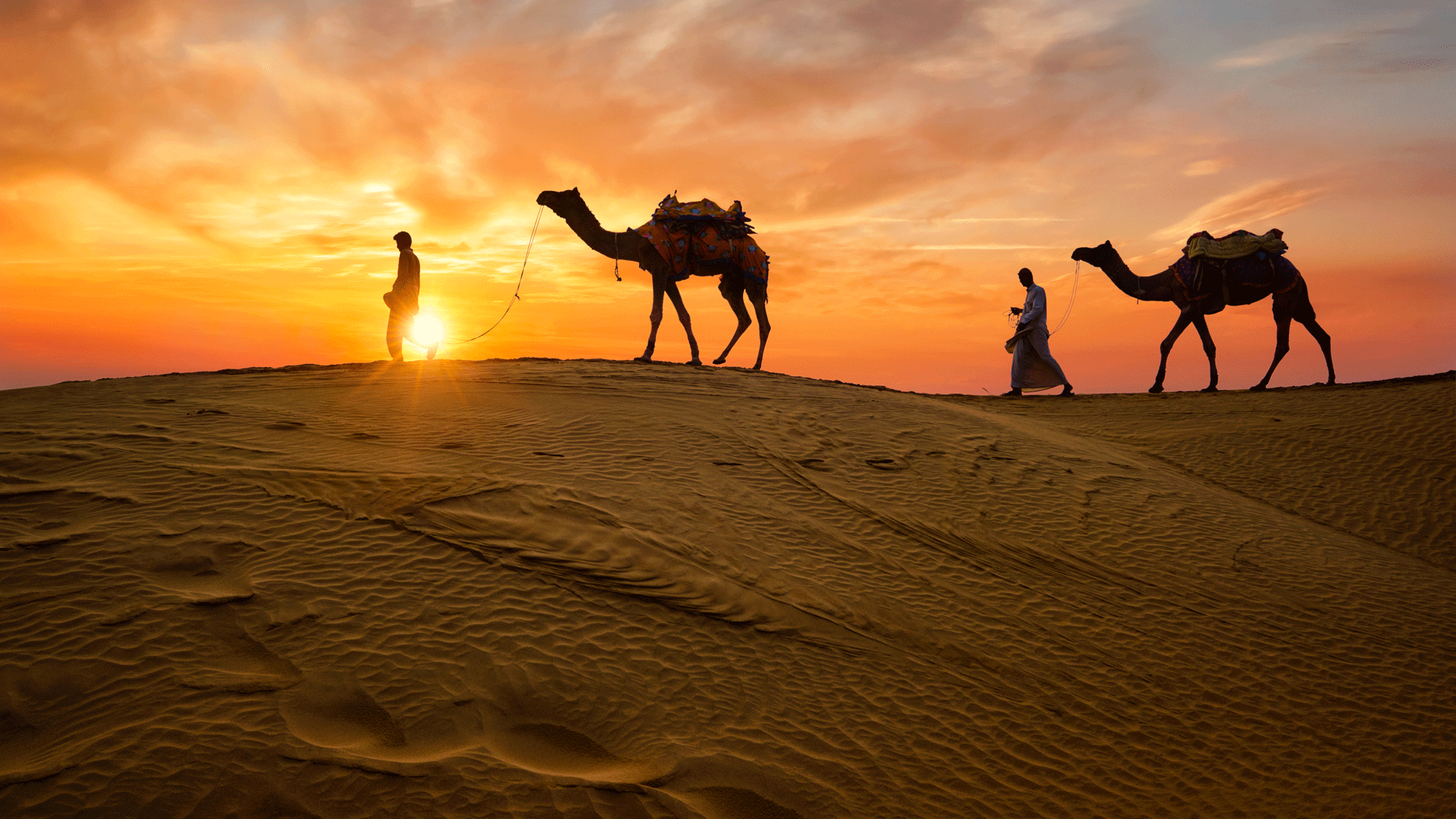 Rajasthan desert at dusk